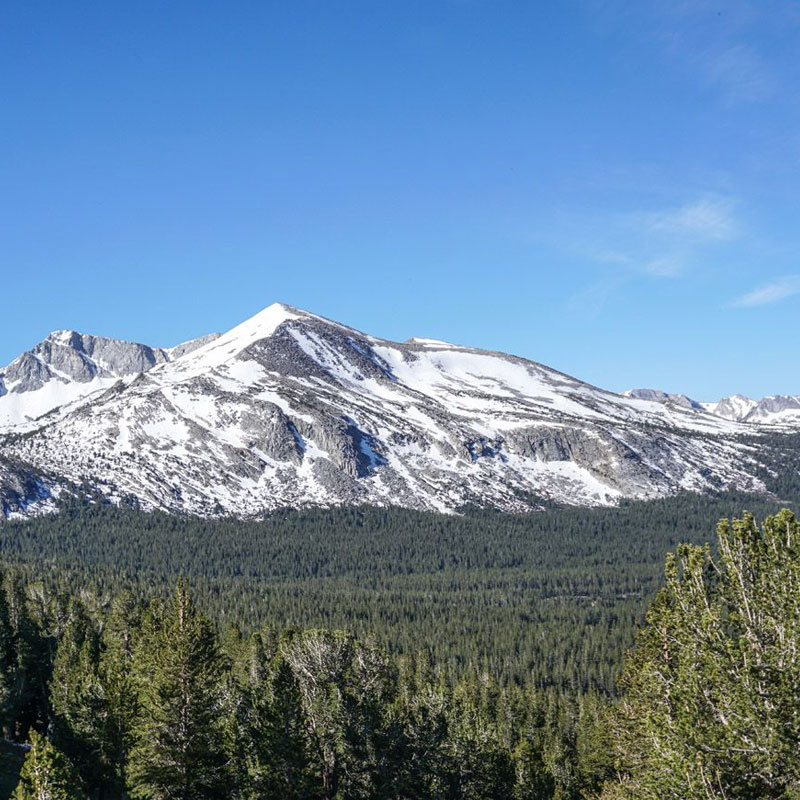 Mount Dana