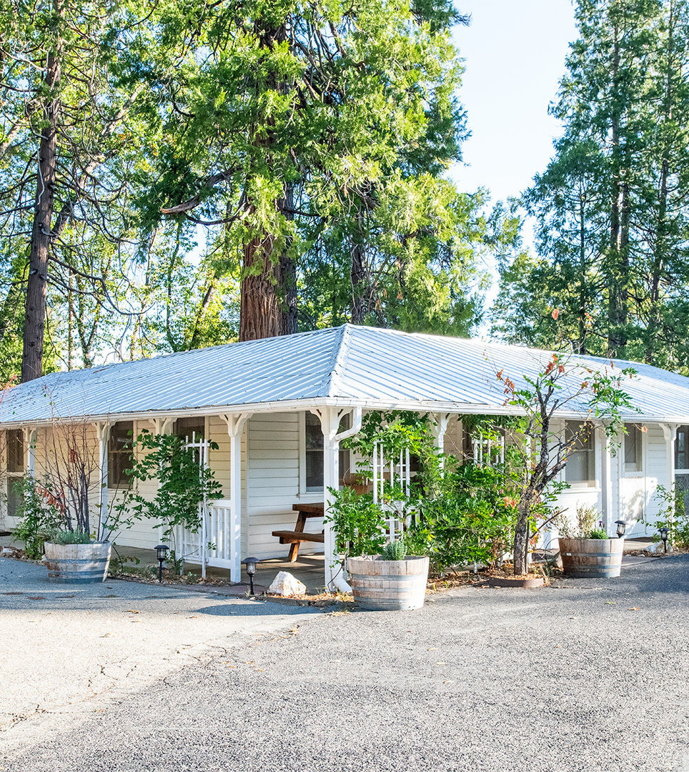 CONTACT US AT THE SUGAR PINE RANCH