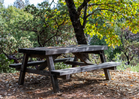 INN AT SUGAR PINE RANCH - Seating Area