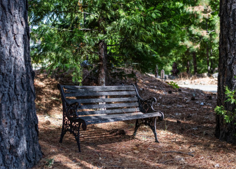 INN AT SUGAR PINE RANCH - Bench