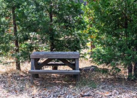 INN AT SUGAR PINE RANCH - Bench